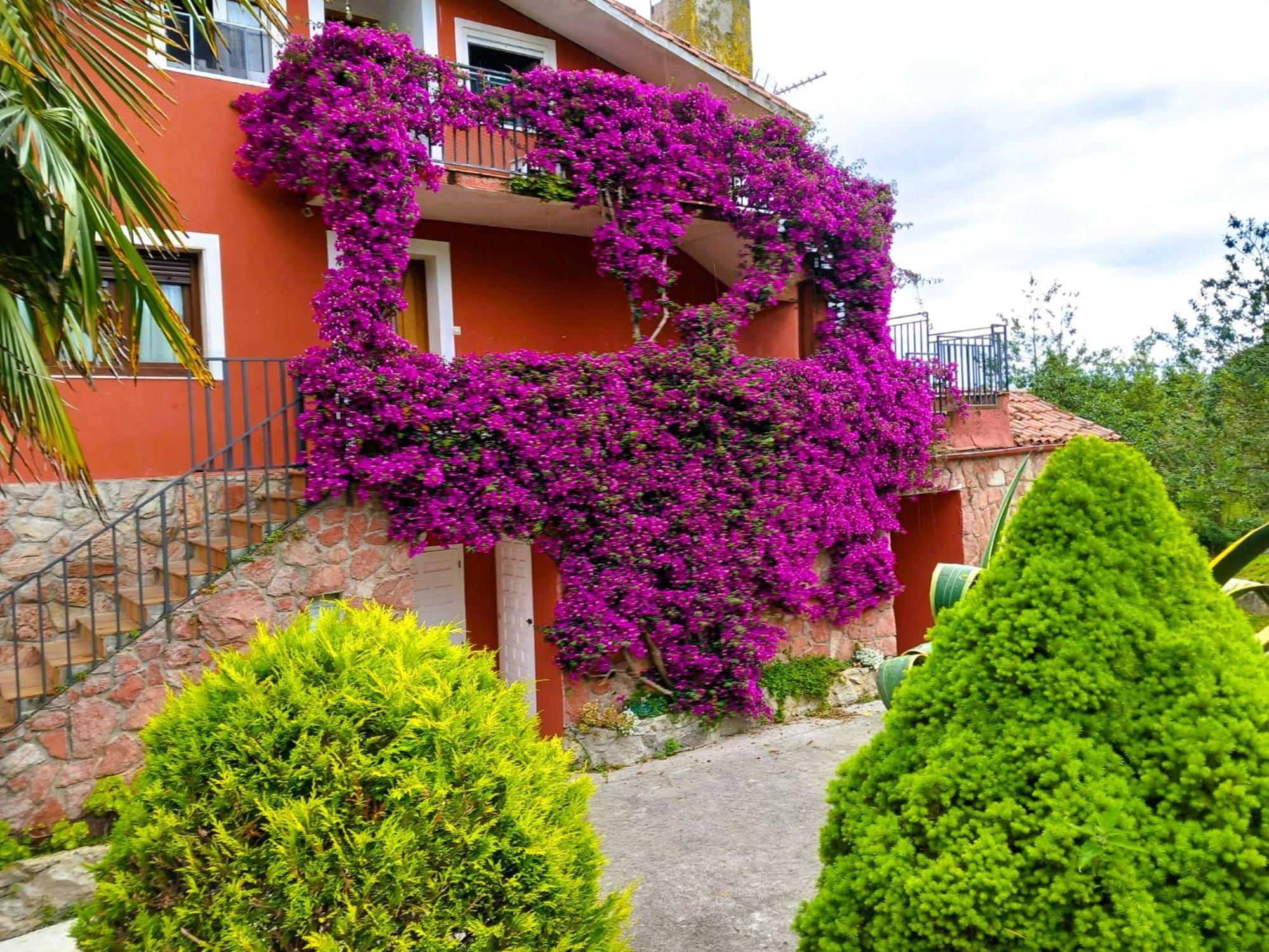 Apartamentos Mariaje バロ・デ・リャネス エクステリア 写真